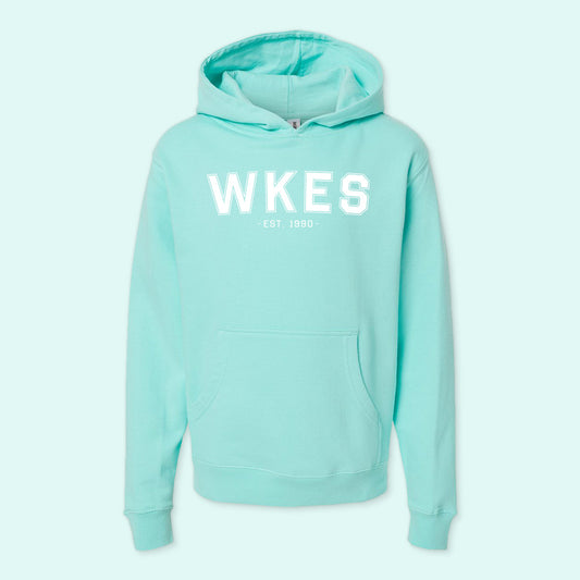 Youth Hoodies